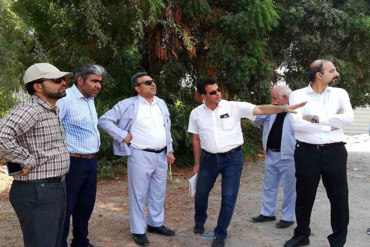 بیمارستان نفت ستاره خلیج فارس