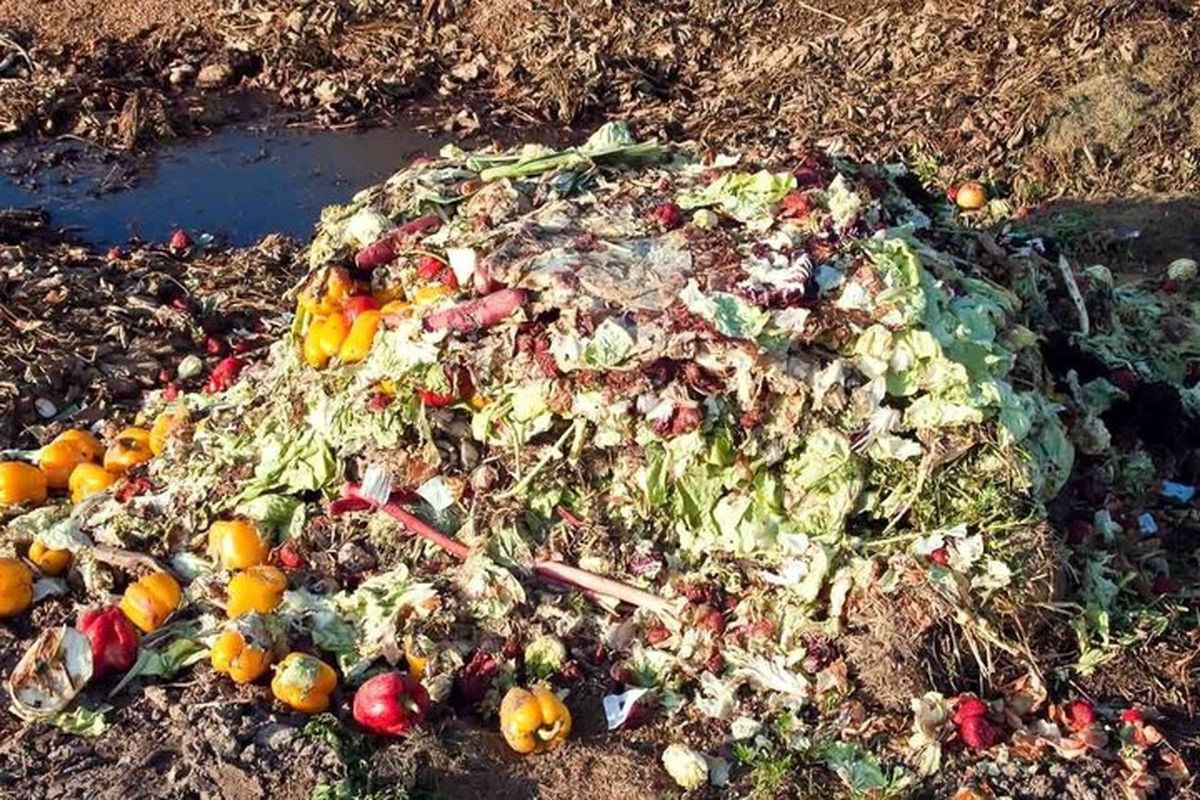 محصولات کشاورزی ضایعات