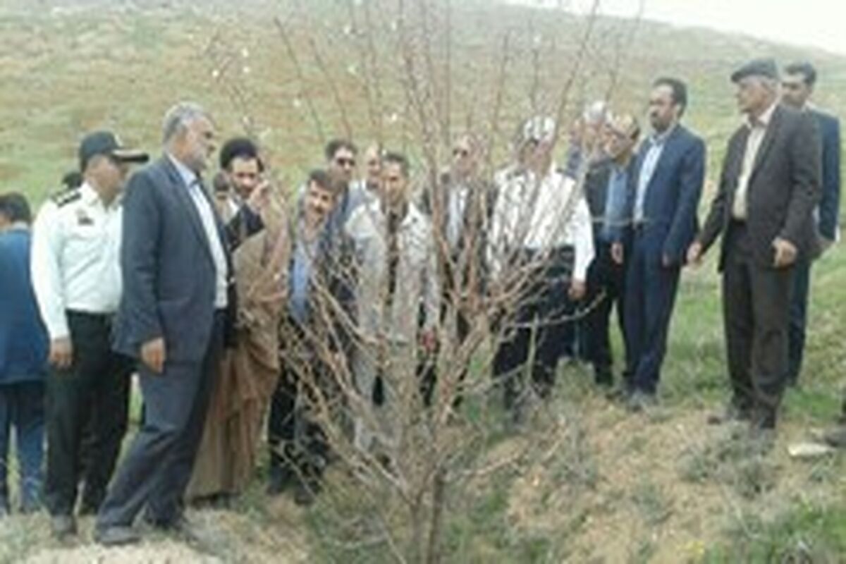 کشاورزی