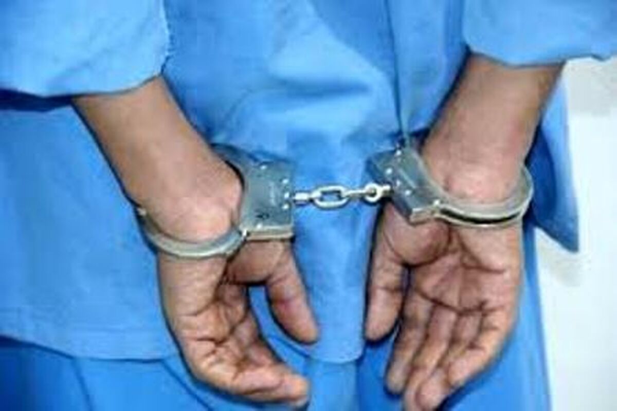 دستگیری سارق