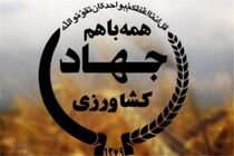  گزارش وزارت جهاد کشاورزی از خدمات ارائه شده به زلزله زدگان غرب کشور