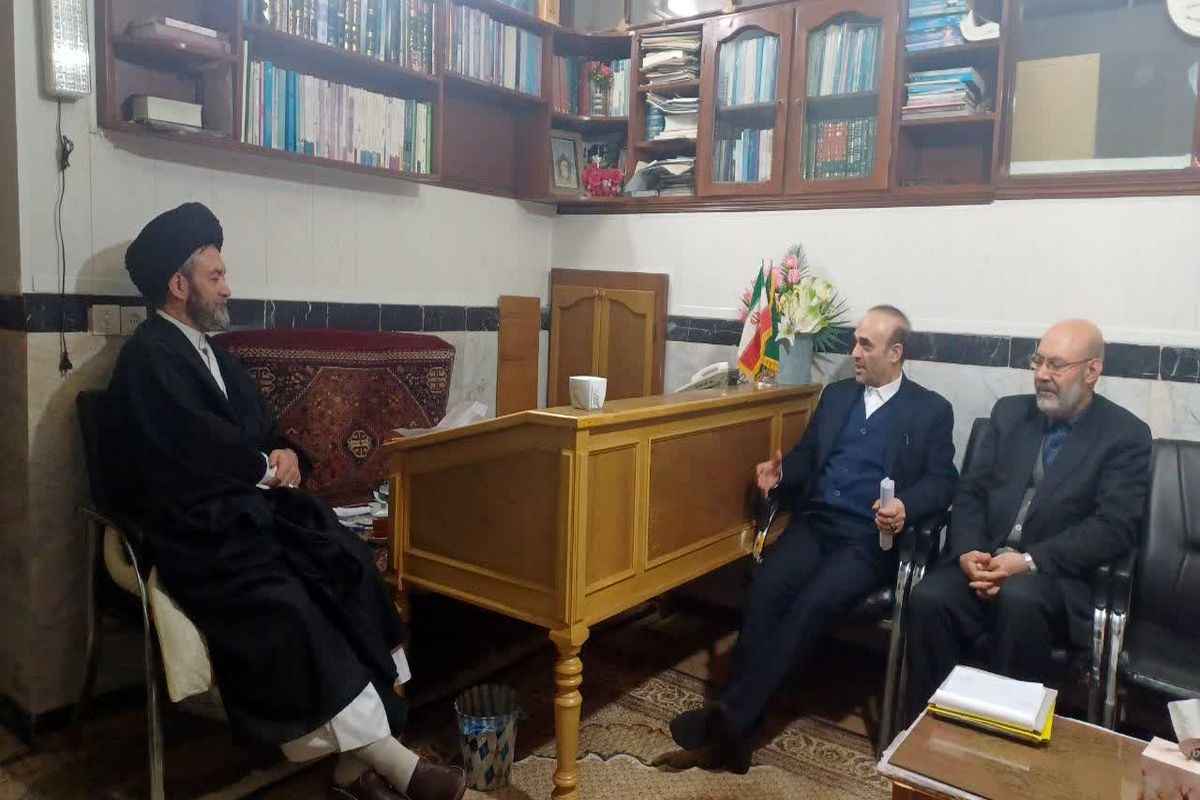 دیدار معاون قضایی با آیت الله عاملی