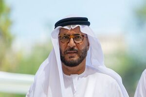 مشاور رئیس امارات به حادثه فلای دبی واکنش نشان داد