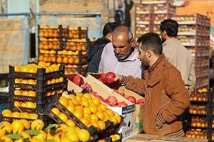 ذخیره سازی میوه شب عید تکمیل شد/ به قیمت منصفانه عرضه می‌شود