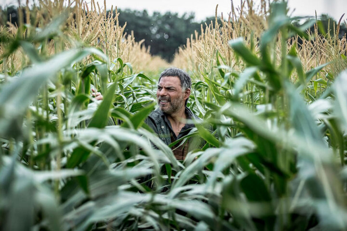  «بی سر و صدا» 