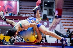  اعضای کمیته فنی تیم ملی کشتی فرنگی و آزاد مشخص شدند