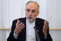 ایران اهداف منطقی برای گسترش برنامه صلح هسته ای پیش گرفته است