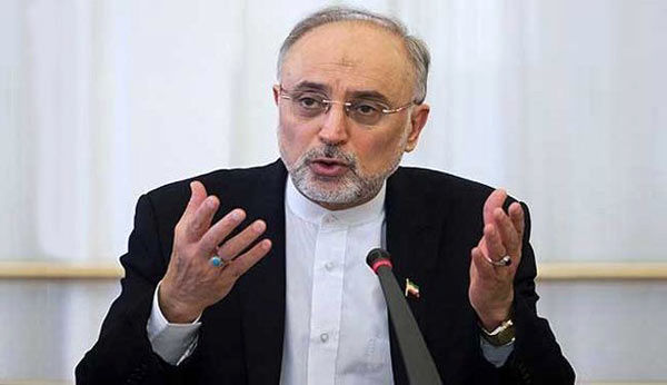 دشمن در پی تحریک ایران برای واکنش های عجولانه و نسنجیده است