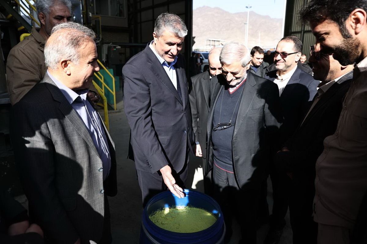 رئیس سازمان انرژی اتمی