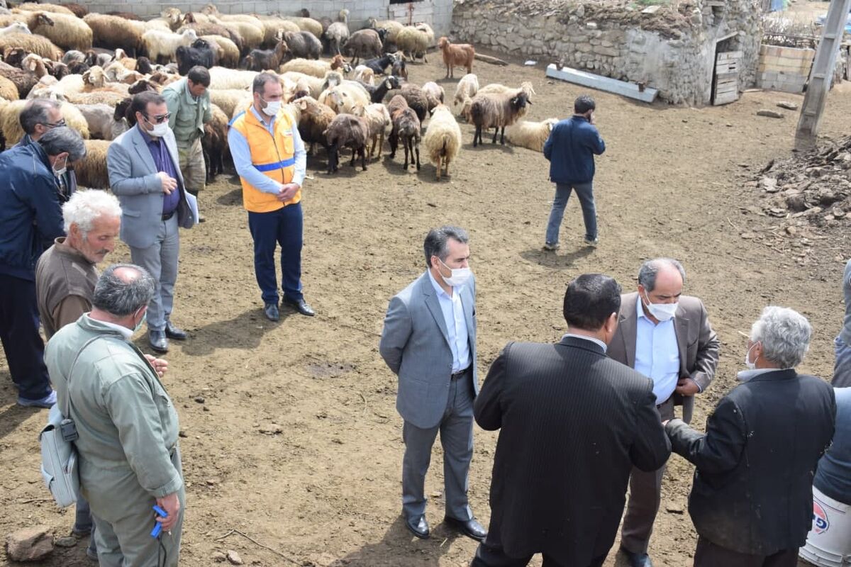 دامپزشکی اردبیل