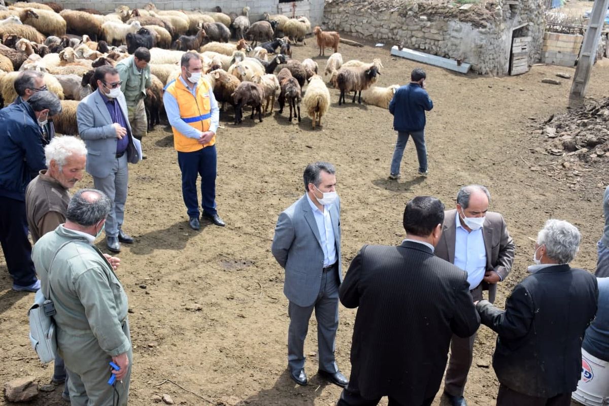 دامپزشکی اردبیل