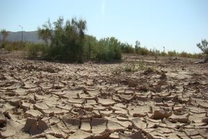 عملیات بیابان زدایی ۲۰هزار هکتار اراضی بیابانی تهران