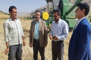 ۳۱کمباین در سیروان مشغول برداشت محصولات کشاورزی هستند