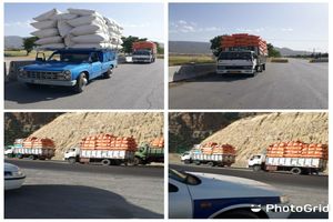 توقیف 30 دستگاه خودرو حامل کاه قاچاق در ایلام