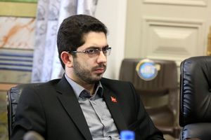 هرس‌های رفع خطر و ایمن سازی درختان در رشت