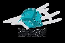 زمان ثبت‌ نام از کاندیداهای فدراسیون والیبال اعلام شد