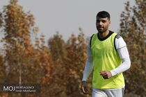 اگر قهرمان شدن در جام ملت‌ها ساده بود در این ۲۰، ۳۰ سال قهرمان می‌شدیم 