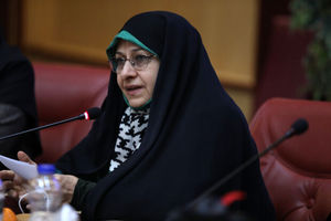 نقش زنان خانه دار در اقتصاد کشور نقش پررنگی است