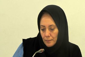 گردشگری سلامت با زیرساخت‌های فناوری‌ اطلاعات برای کشور مثمر ثمر است