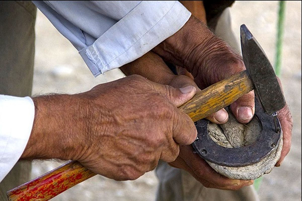  هیأت چوگان استان گیلان 