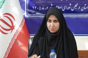 صدور مهارت به عراق فرصتی برای اشتغال جوانان ایلامی است