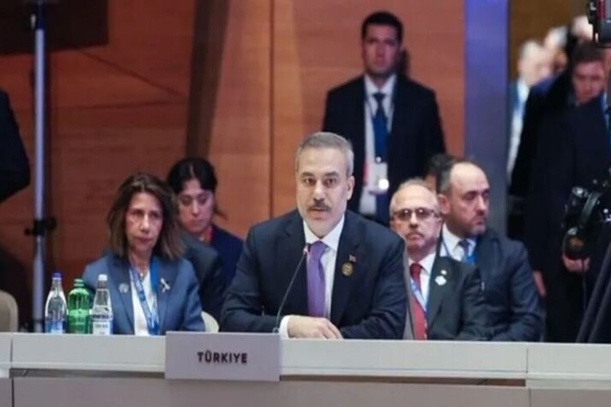 فیدان