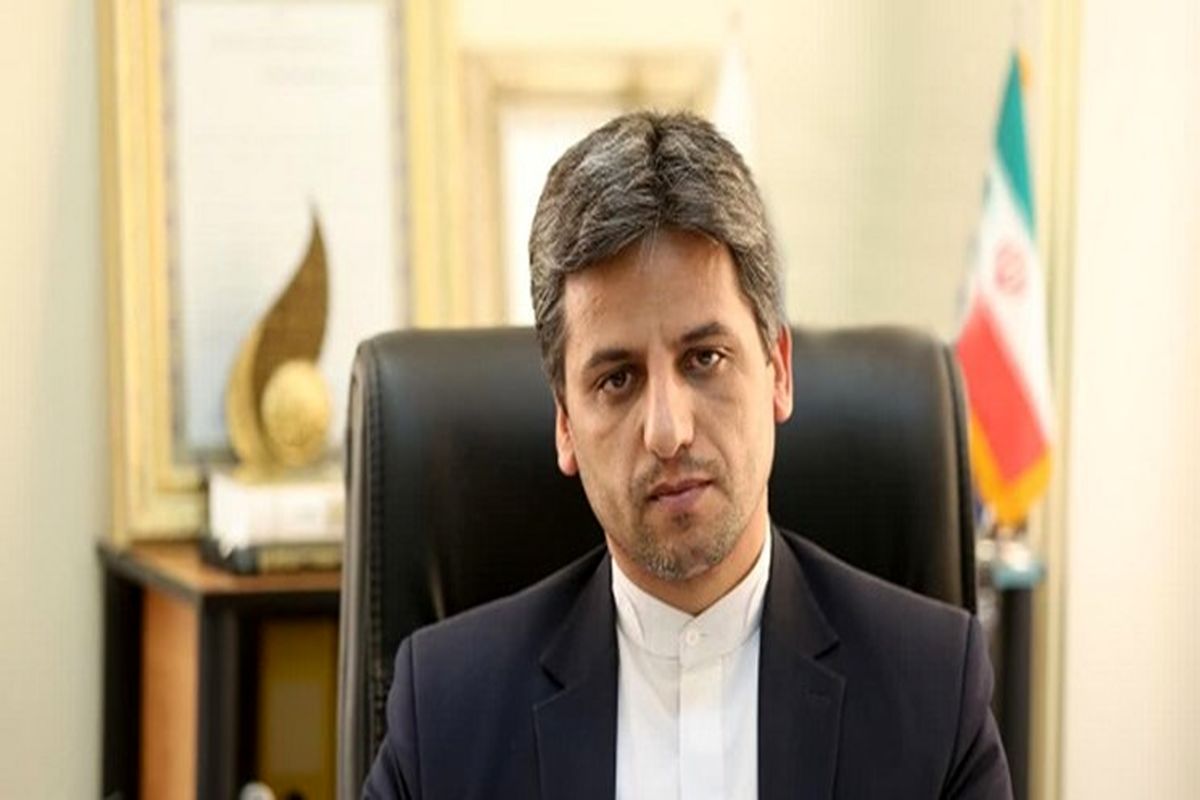 هادی محمودنژاد