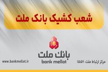 فعالیت شعب کشیک بانک ملت در تهران در روز چهارشنبه اول بهمن