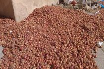 عدم استفاده کشاورزان شهرستان مرزی درگز از ظرفیت صادرات این منطقه