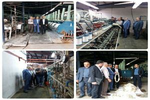 لازمه احیای صنعت ابریشم در گیلان، تقویت کشت صنعتی و پیله ابریشم است