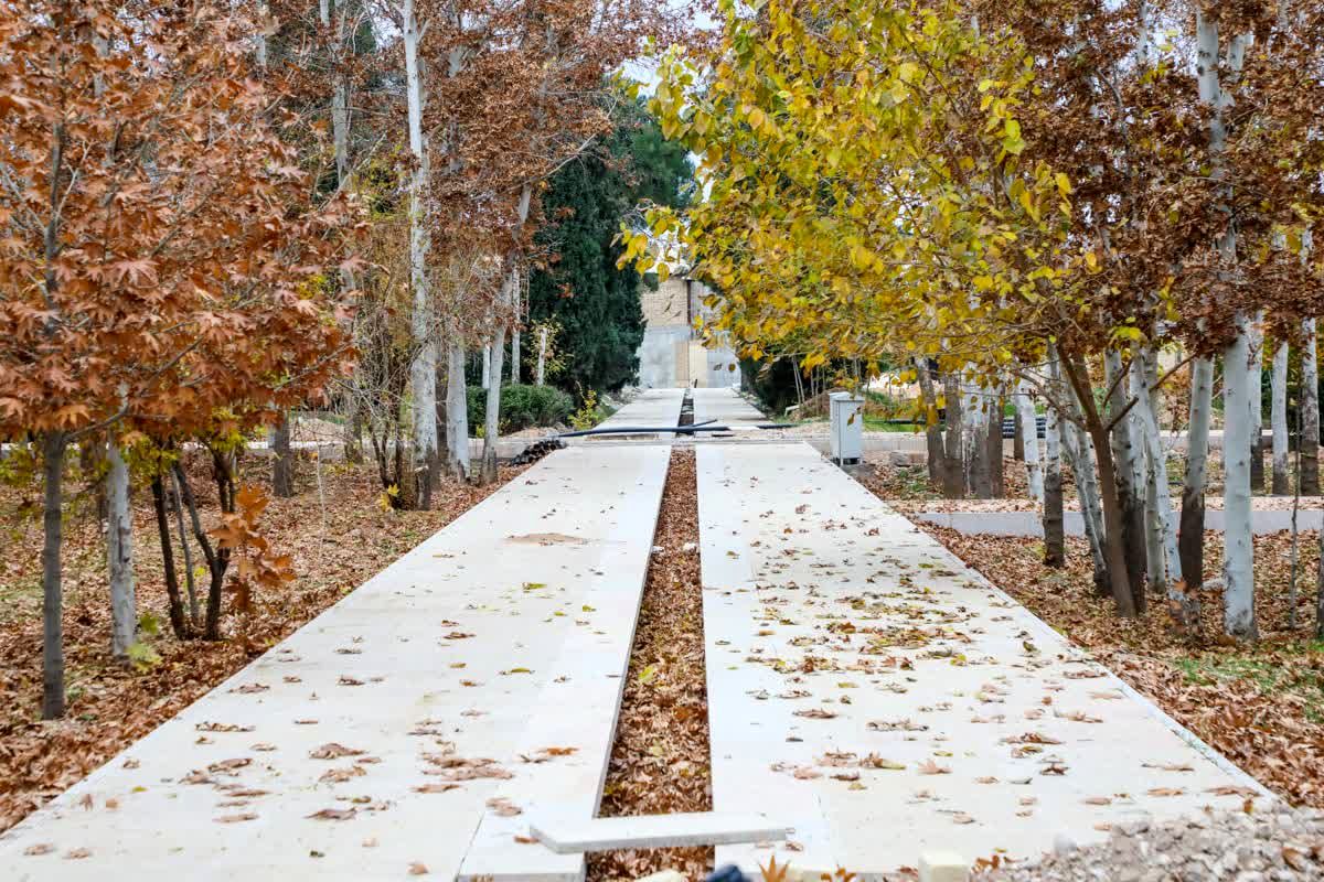 شهرداری شیراز 