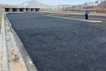 اجرای پروژه مرکز نگهداری سگ‌های بلاصاحب در تبریز