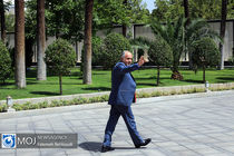 دولت و دستگاه قضا قانون حدنگاری را جدی گرفته‌اند