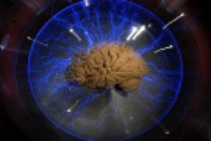 نمایش مستندی درباره «یوز ایرانی» در خانه هنرمندان