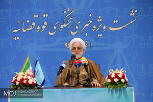 مبارزه با قاچاق کالا از اولویت‌های قوه قضائیه است