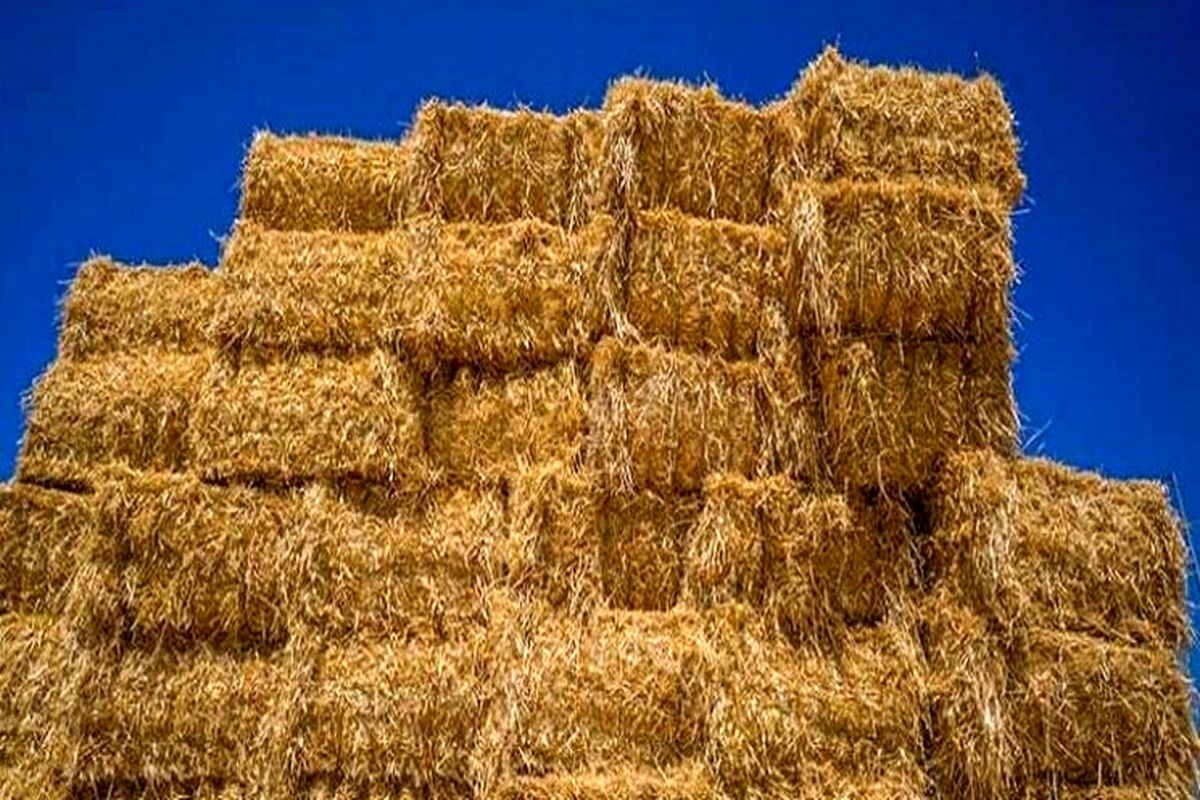  کاه و کلش قاچاق در کرمانشاه