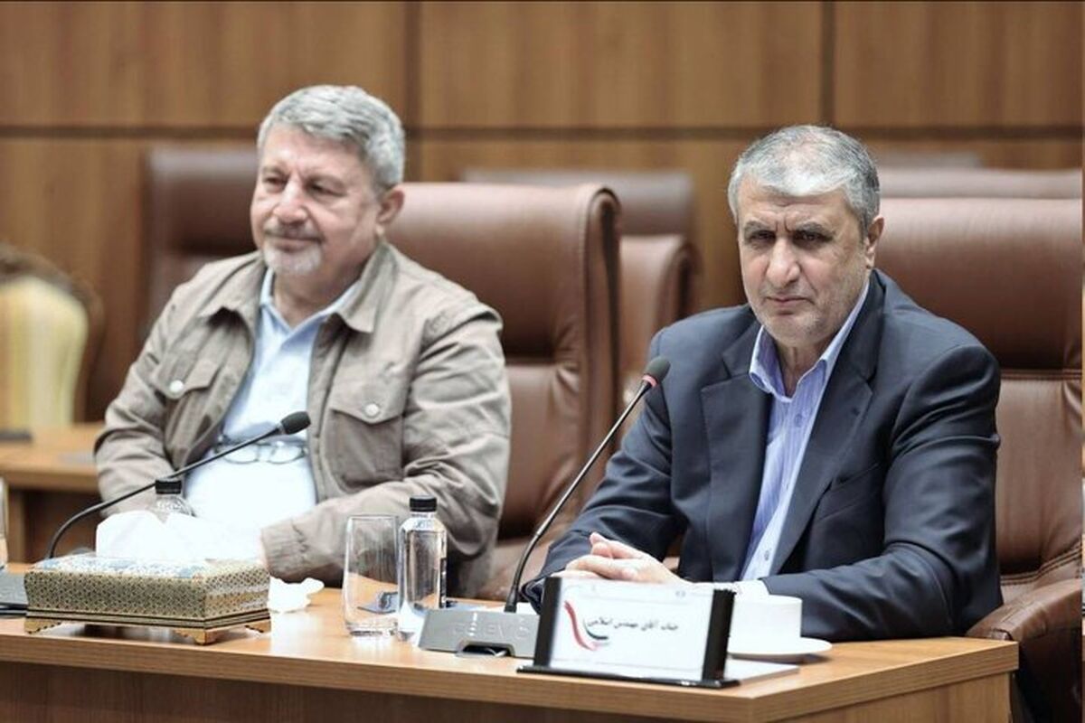 رئیس سازمان انرژی اتمی