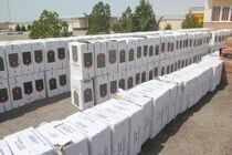 کشف یک میلیون و 484 هزار نخ سیگار در هرمزگان 