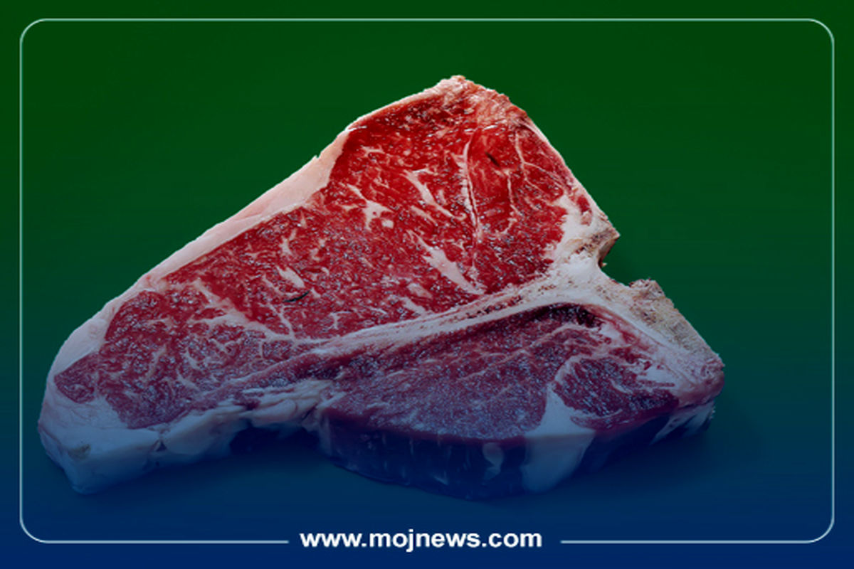 کاور اینفو2 copy2475