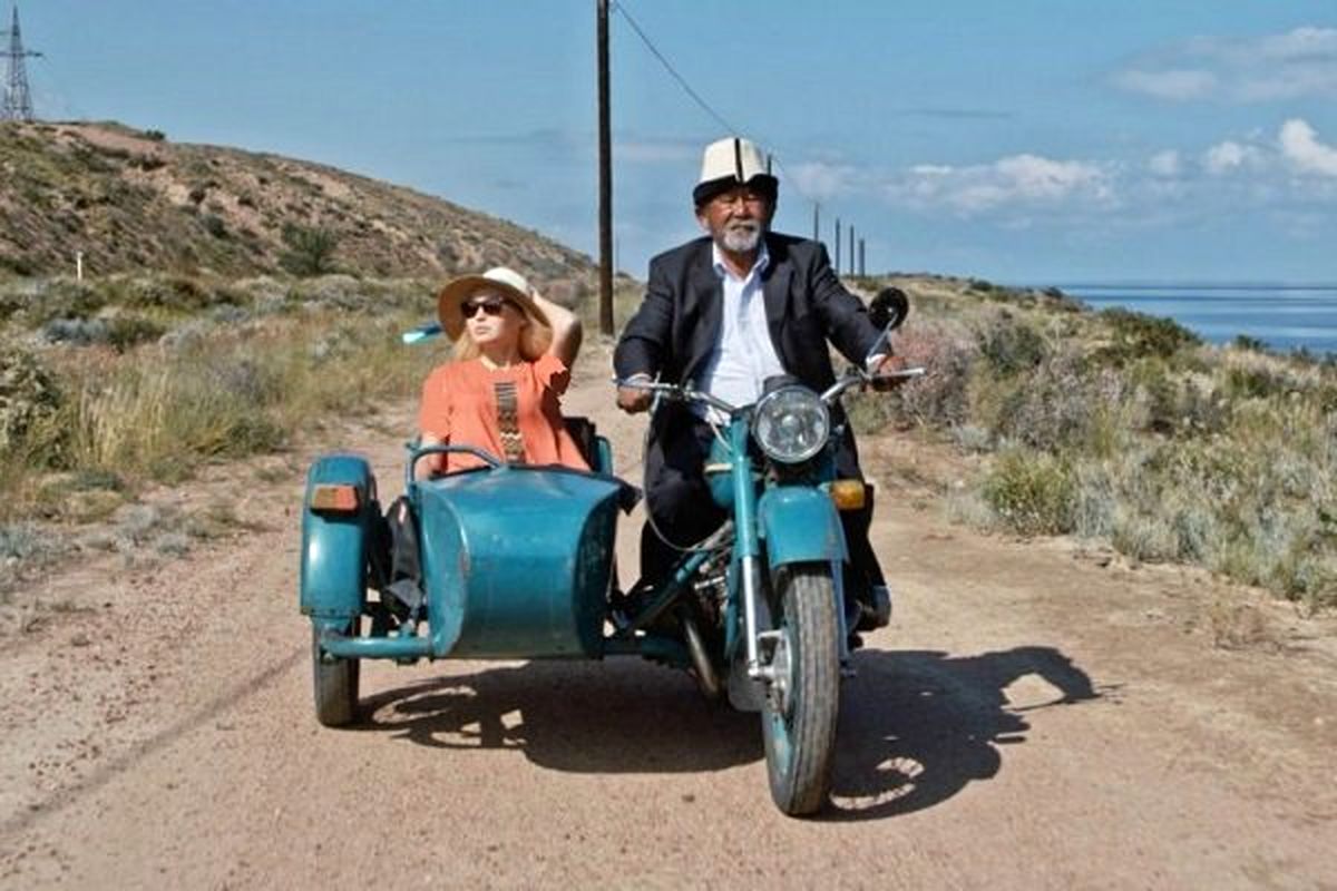 فیلم حادثه شبانه 