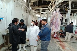 سرکشی از ناظرین ذبح شرعی استان مرکزی
