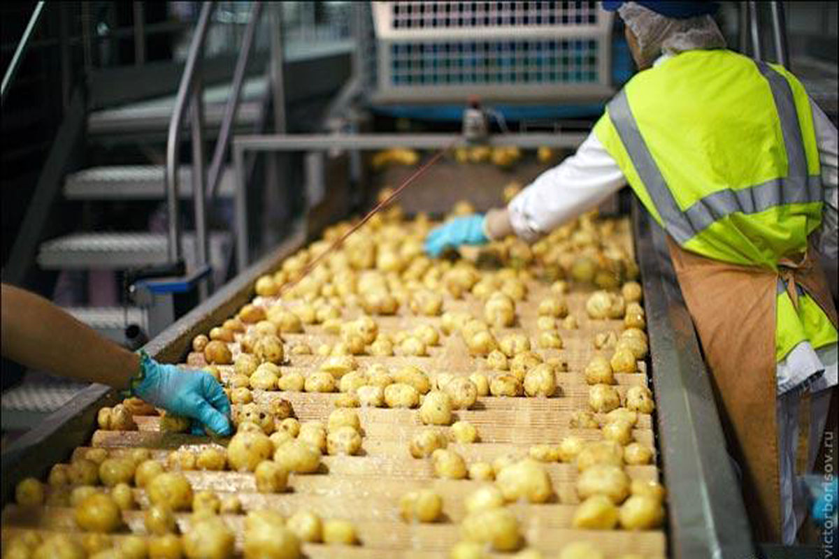 صنایع تبدیلی