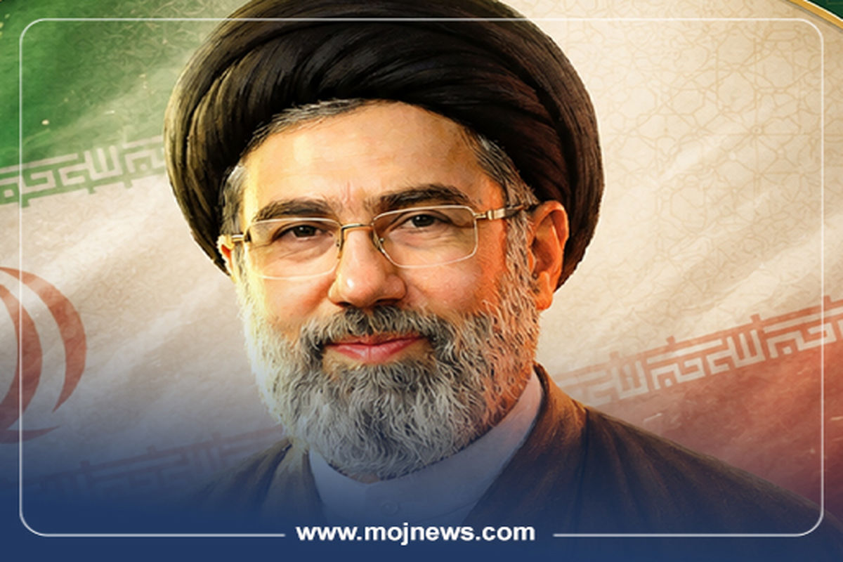کاور اینفو2 copy582