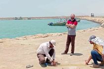 عملیات اجرایی زیرساخت موقت بندر بونجی در جاسک آغاز شد 