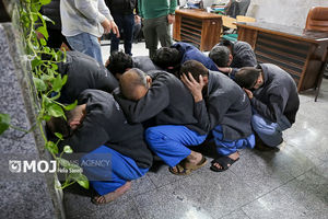 باند بزرگ سرقت خودرو در مازندران متلاشی شد