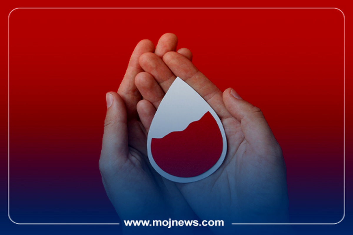 کاور اینفو2 copy0202