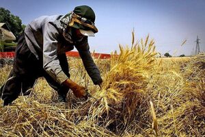 حاجی آباد رتبه اول جذب منابع اشتغال روستایی را دارد   