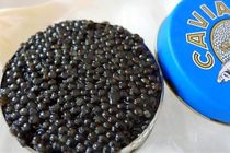 تولید بیش از پنج هزار کیلوگرم خاویار در مازندران