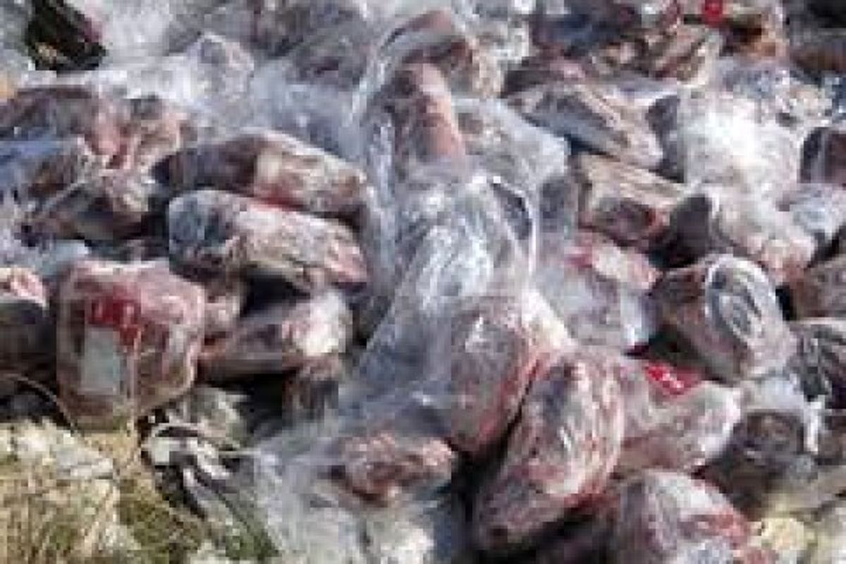 اصفهان- معدوم سازی الایش دامی