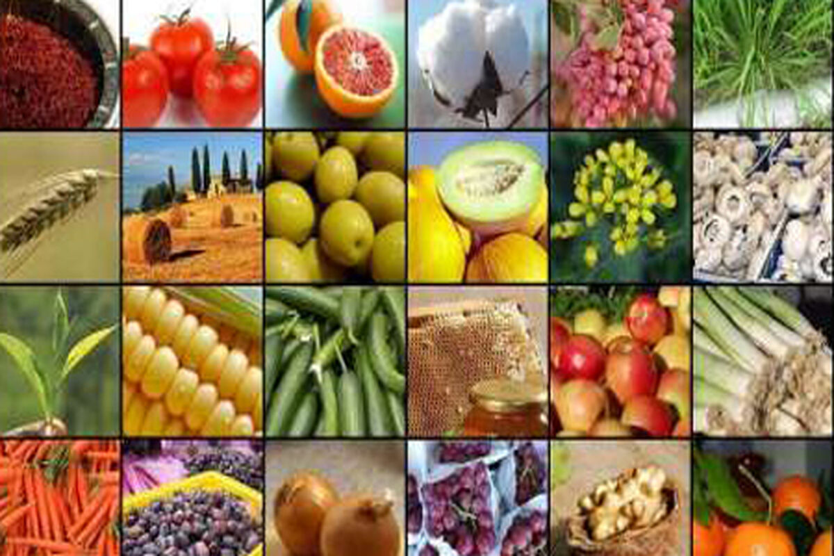 روز جهانی غذا